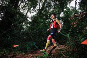 BIB: 2516
                            <button type="button" onclick="openModal(22613915)" class="btn btn-primary btn-sm float-right btn-popup" data-toggle="modal" data-target=".modal-high-quality">
                        <i class="fas fa-shopping-cart"></i> Add to Cart
                    </button>
                                            <button type="button" onclick="isThisMe(22613915, true)" class="btn btn-success btn-sm float-right btn-popup btn-isme hidden" data-toggle="tooltip" data-placement="bottom" title="นี่คือรูปของคุณใช่ไหม คลิกที่นี่เพื่อเอาเข้าอัลบั้ม">
                        <i class="fas fa-plus"></i> Add to album
                    </button>
                    <button type="button" onclick="isThisMe(22613915, false)" class="btn btn-warning btn-sm float-right btn-popup btn-isnotme hidden">
                        <i class="fas fa-ban"></i> Remove from album
                    </button>